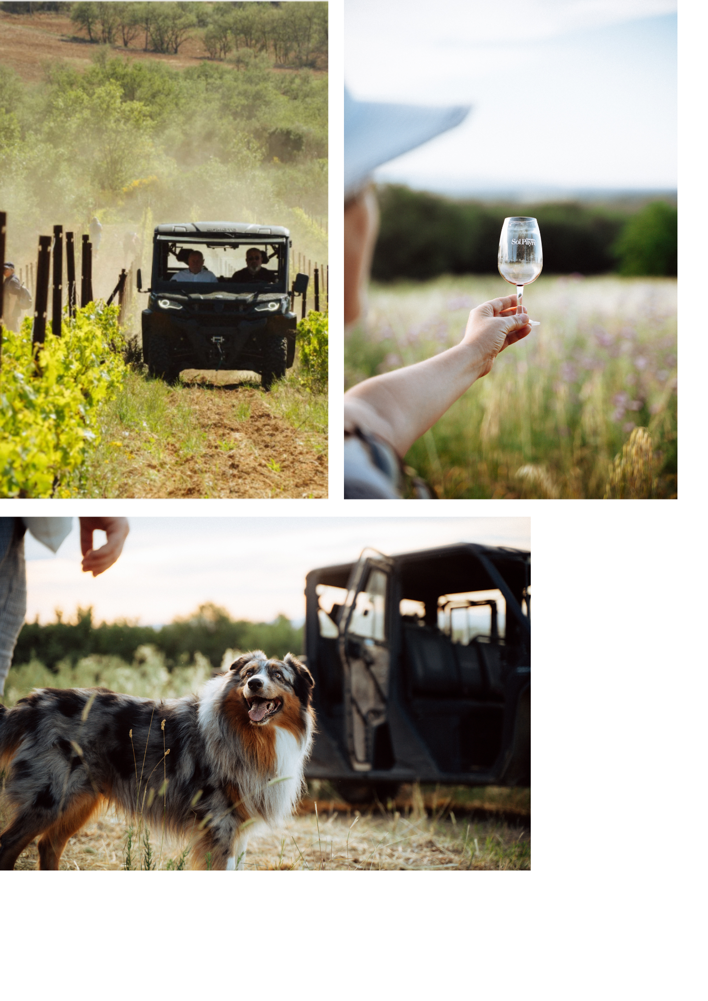 photos buggy (1)